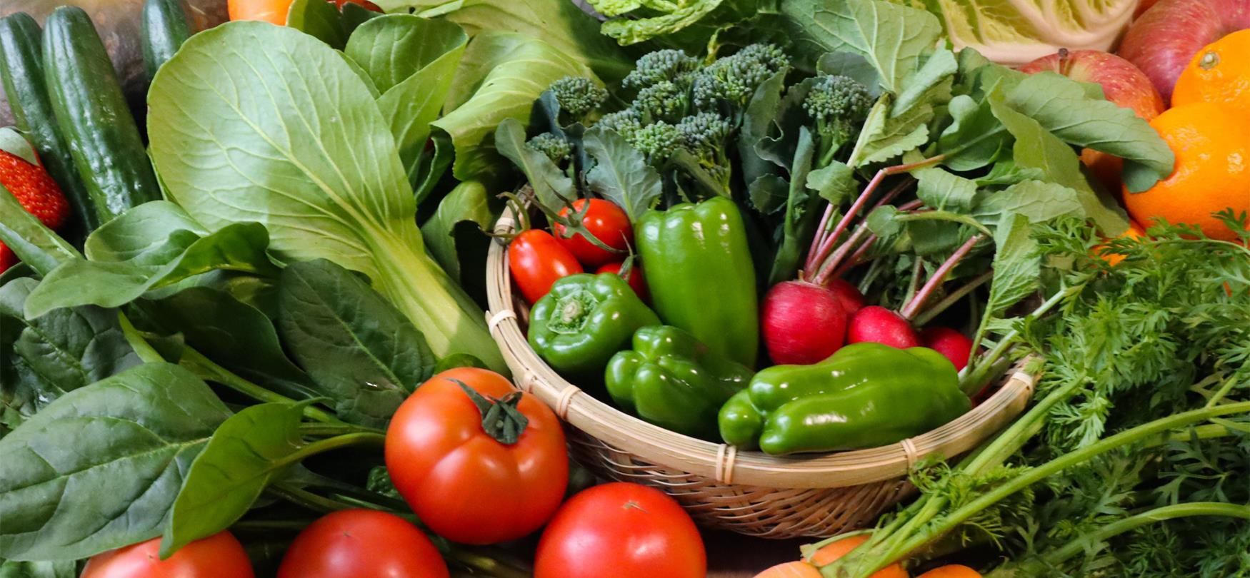 メインビジュアル